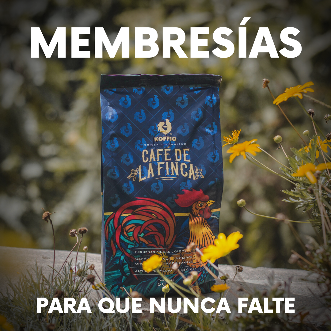 Planes de suscripción 3 meses